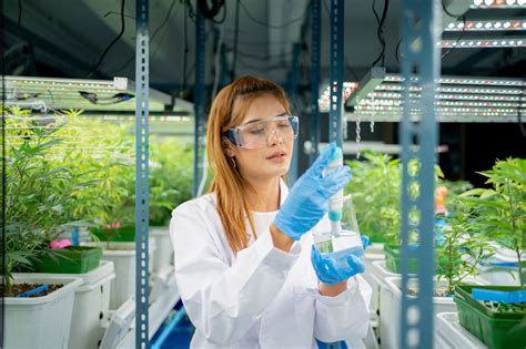 laboratories to analyze marijuana in massachusetts|Massachusetts Cannabis Testing Labs.